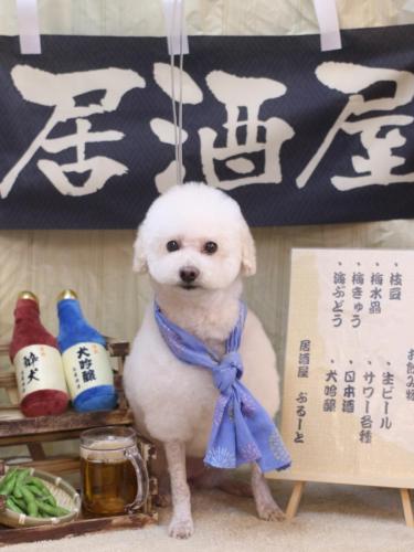 20240630MAPLEちゃん